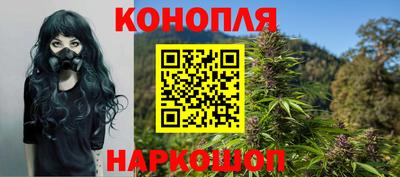 амф Новодвинск