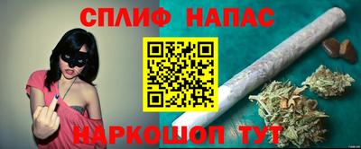 амф Новодвинск