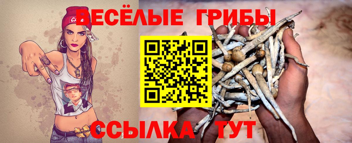 Татарск  Галлюциногенные грибы мицелий  Вход с VPN 